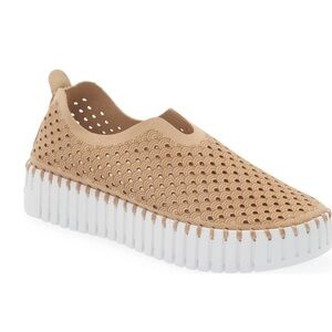 Women’s Isle Jacobsen Tulip sneaker in Latte